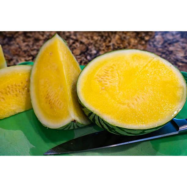 SUBUR BIBIT SEMANGKA NON BIJI KUNING