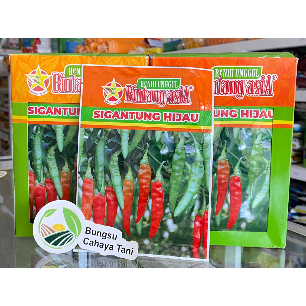 Bibit Rawit SIGANTUNG HIJAU 10gr Bintang Asia