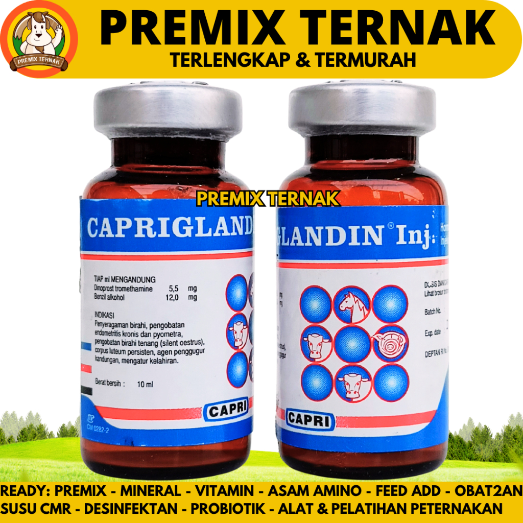 CAPRIGLANDIN INJ 10 ML - Hormon Sinkronisasi Estrus Sapi Kambing Domba Kuda Babi