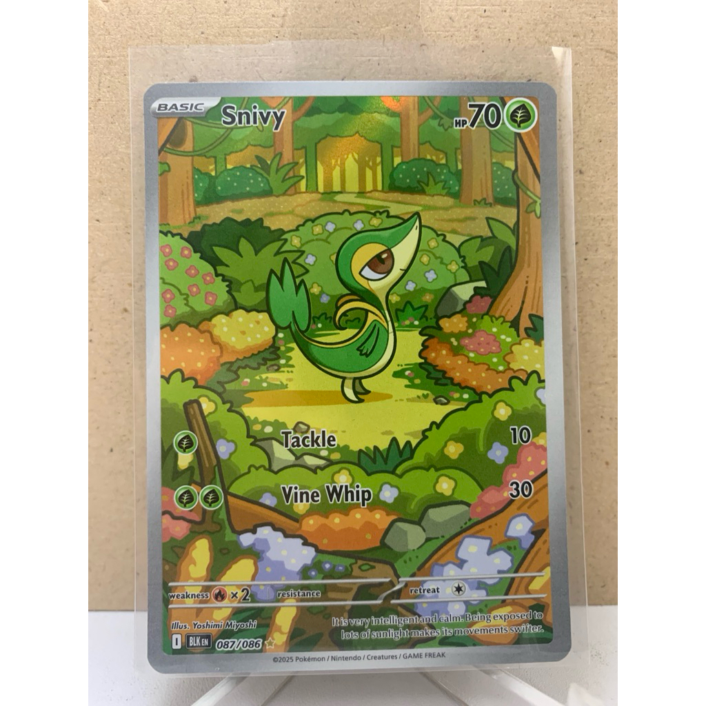 AR Snivy Black Bolt Pokemon English