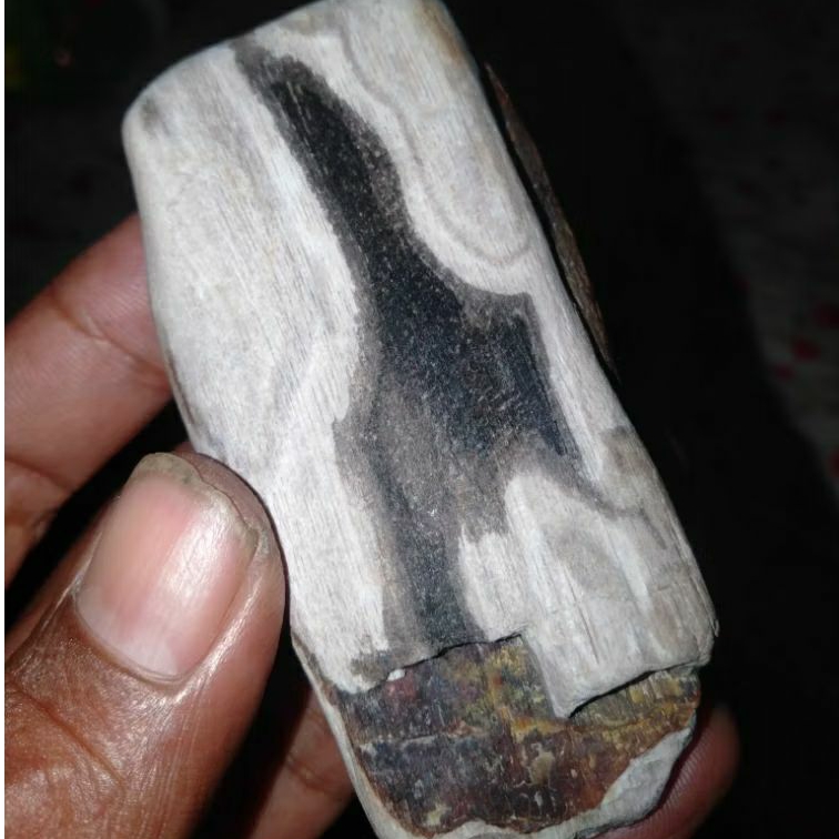 Batu Kayu Kelor Membatu Motif Keris Sakralan Asli Semeru Lumajang