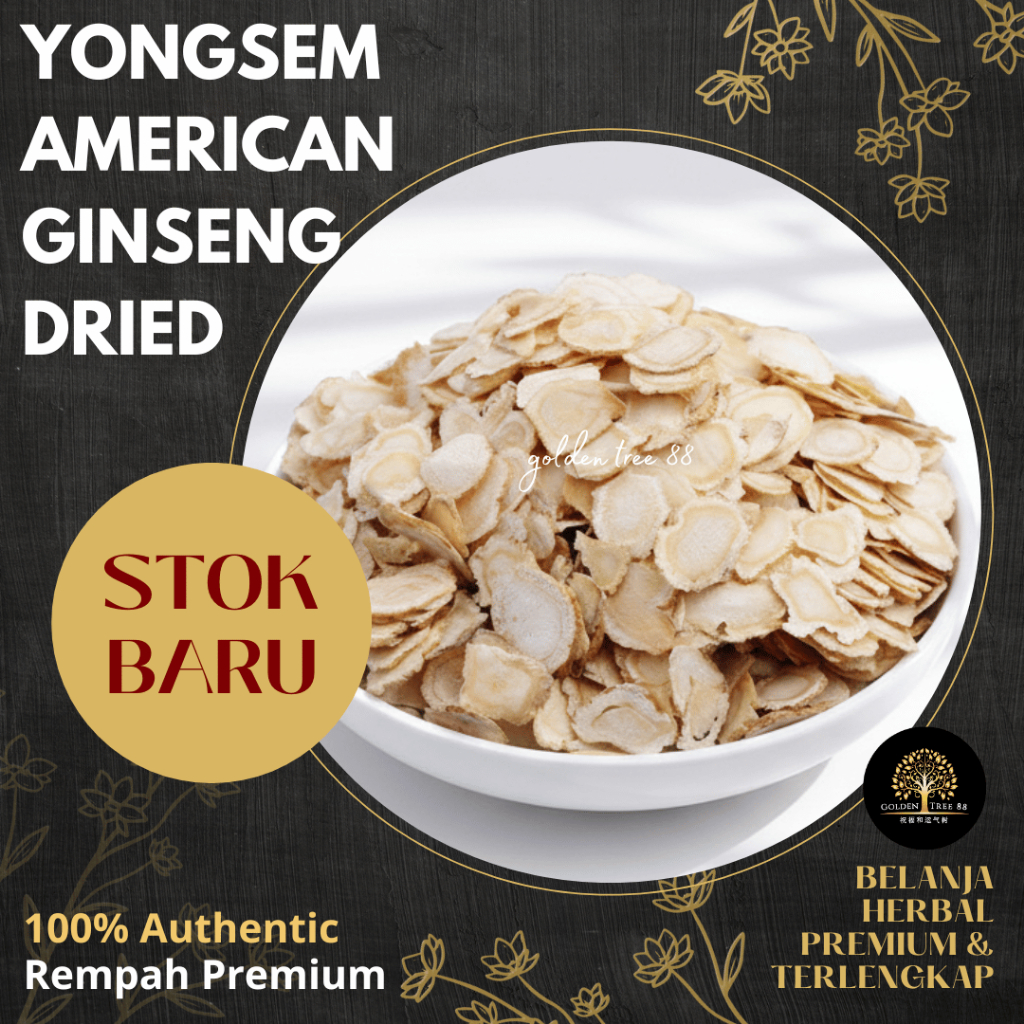1 Tael / 37,5 gram Premium American Ginseng / Root Yong Sem / Ginseng Amerika Original Fresh