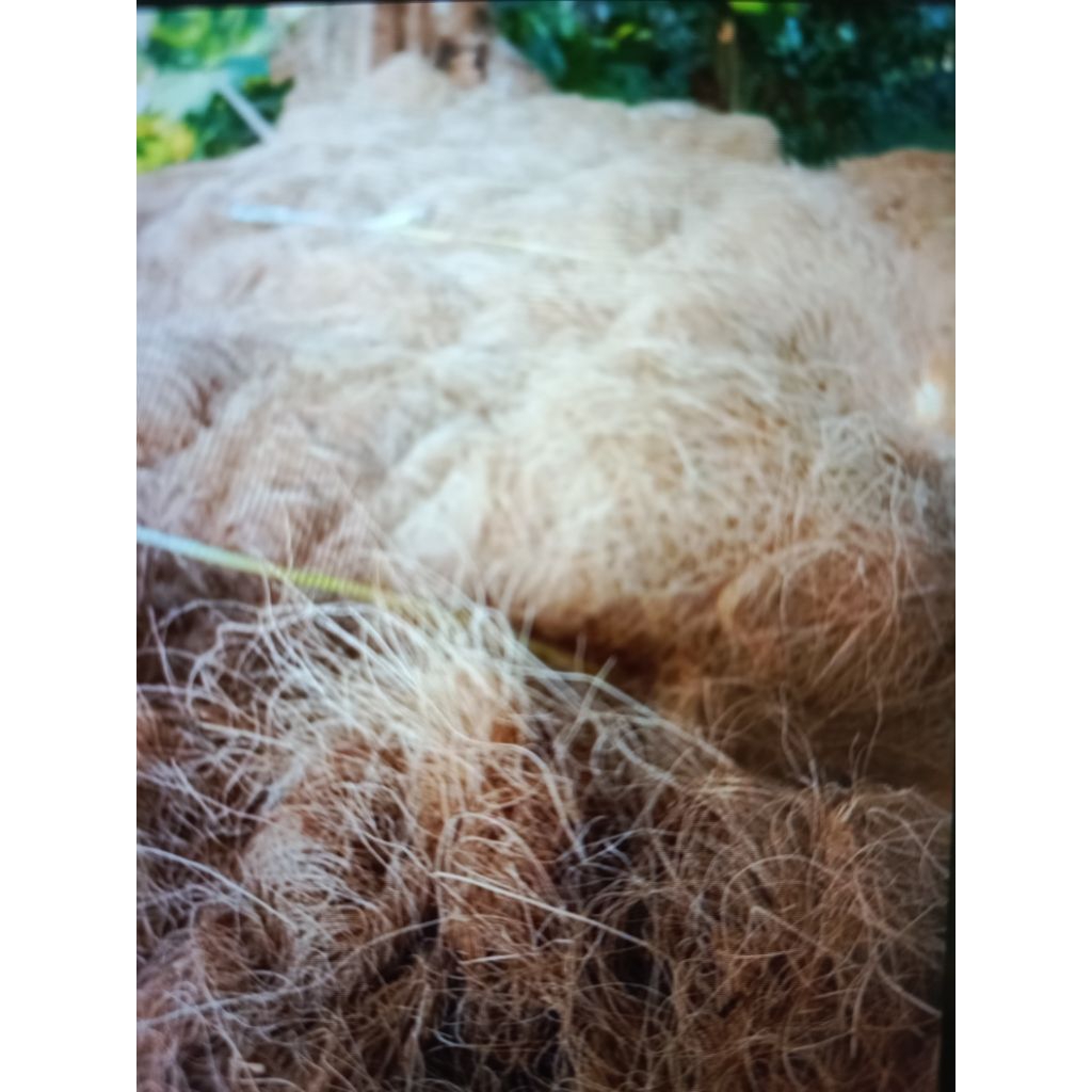 sabut kelapa untuk tanaman