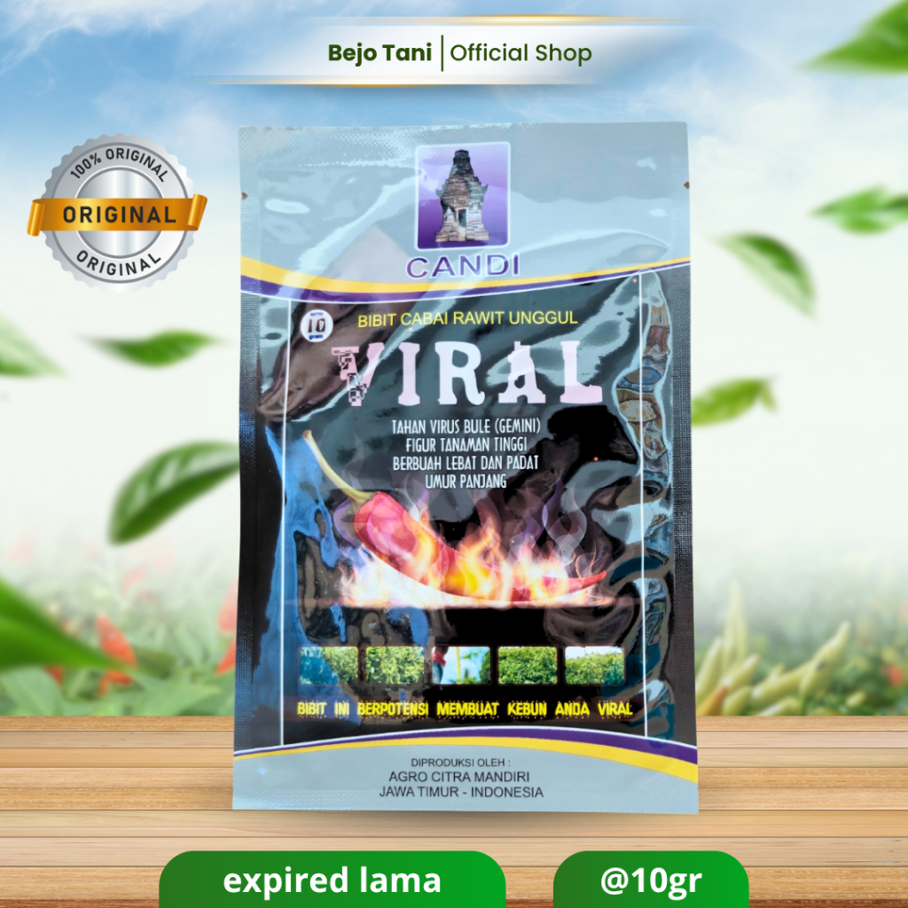 Benih Cabe Rawit VIRAL 10gr Original Cap Candi Toleran Virus Benih Terbaik