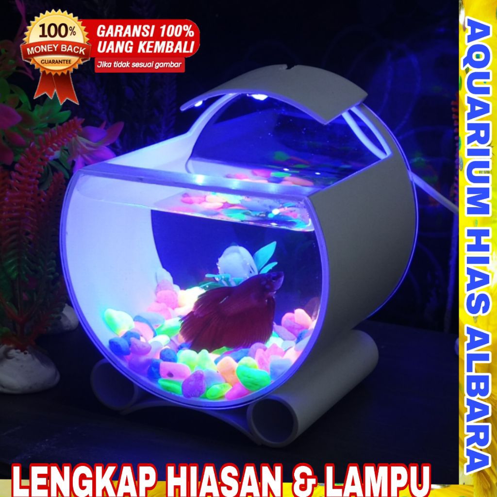 Aquarium Mini Ikan Cupang Akuarium Minimalis Lampu Warna Dekorasi Kamar Ruang Tamu unik
