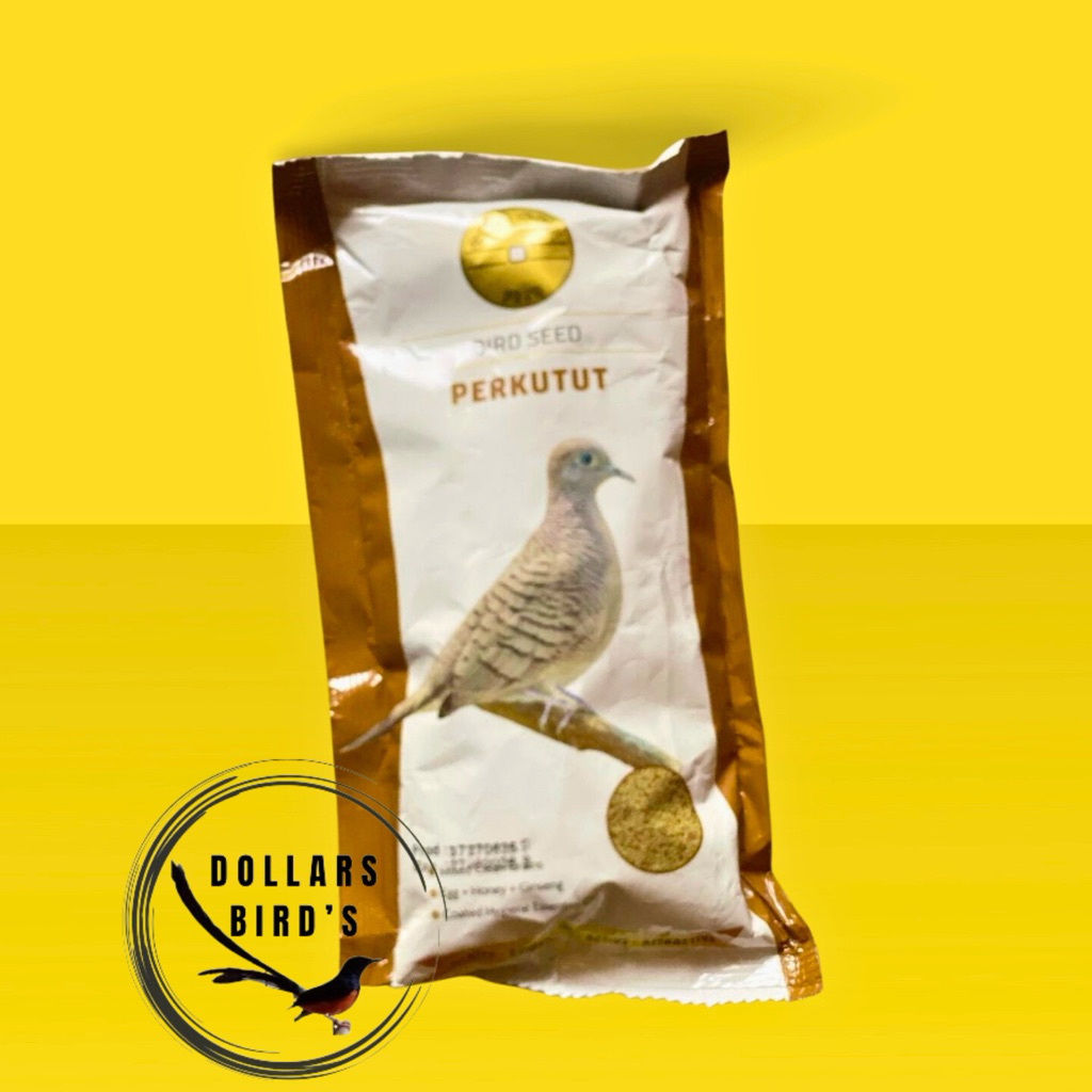 GOLD COIN PERKUTUT