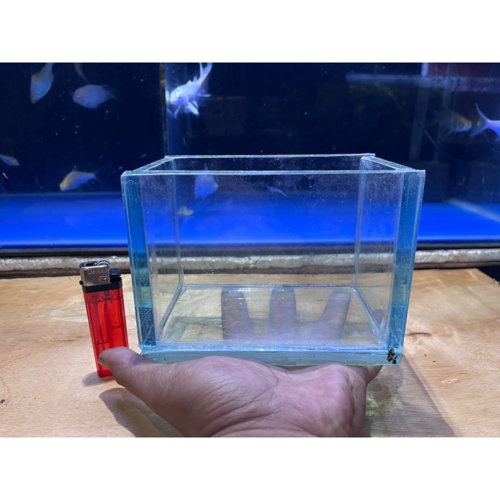 Akuarium GRATIS PACKING FOAM uk 15x10x10 | soliter cupang | akuarium kaca | akuarium mini | soliter 