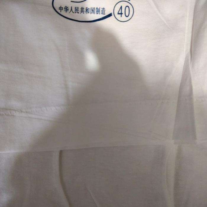 5ebh- Oblong Swan Original Paling Bagus / Kaos Swan Original / Oblong Pria