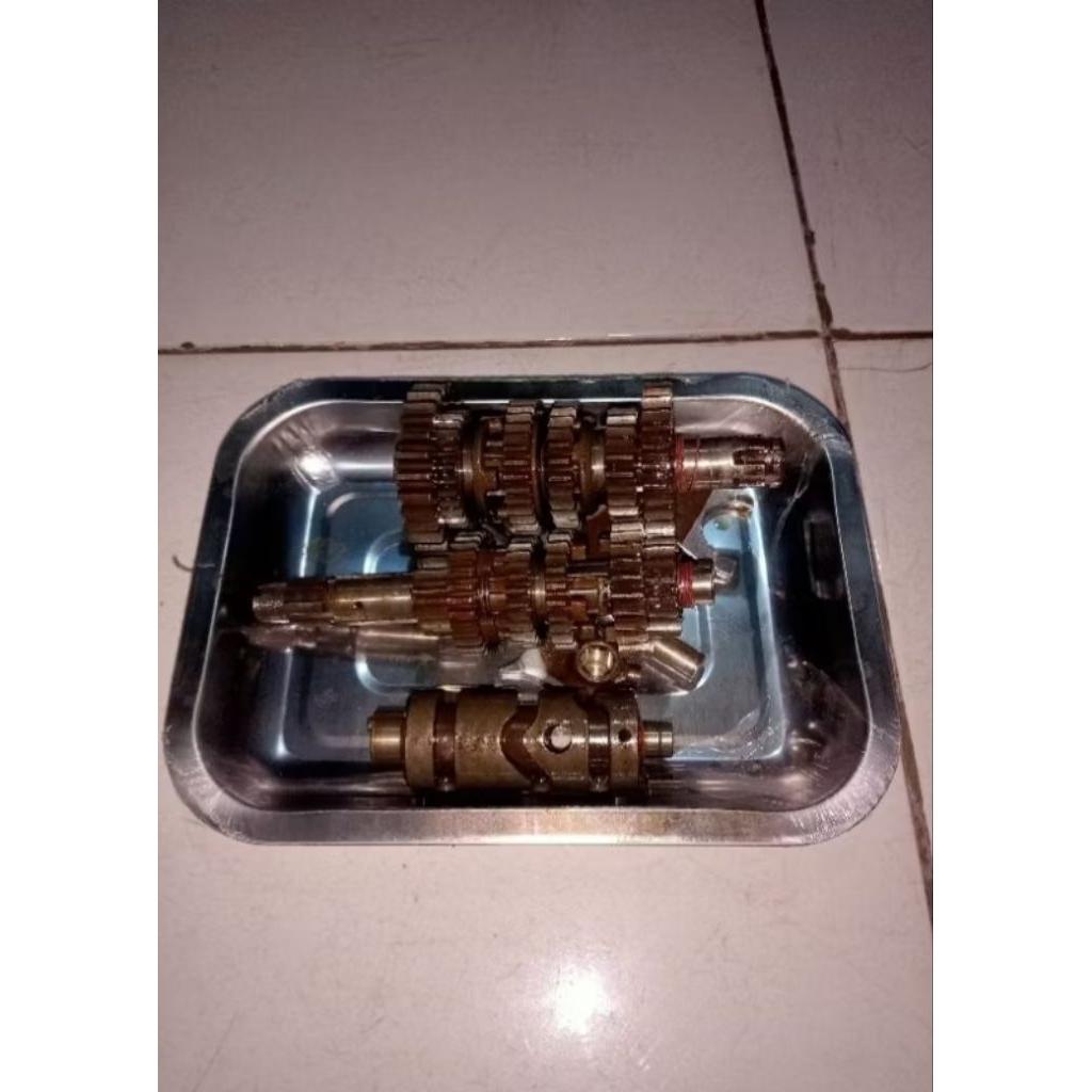 RASIO TIGER  6 SPEED ORIGINAL COPOTAN