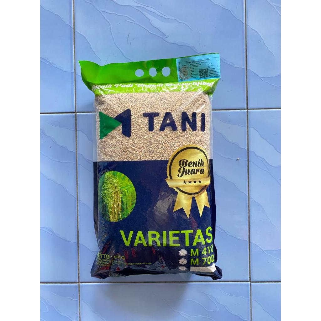 Benih Padi TANI Varietas M70 M-TANI – Benih Juara Kualitas Unggul | Daya Tumbuh Tinggi