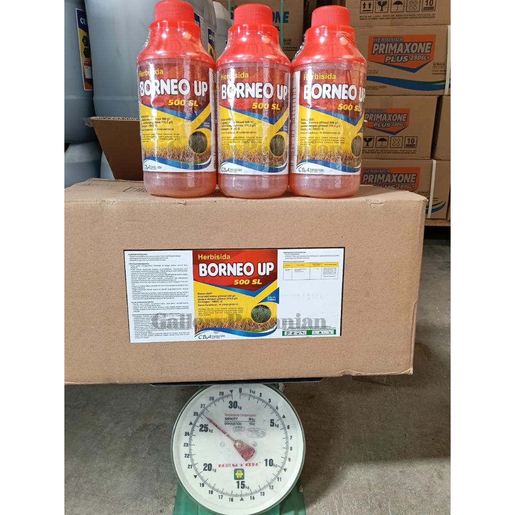 RACUN RUMPUT BORNEO UP 500SL 1L (20BTL/BOX)