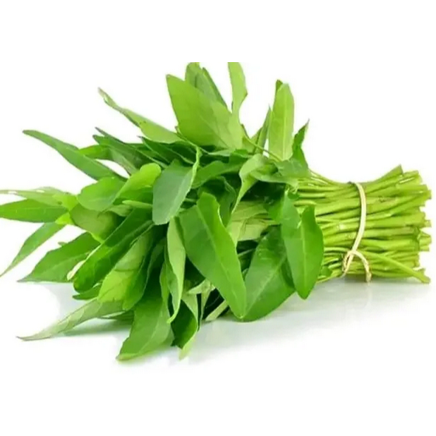 SayurHD Kangkung Segar Fresh 1 Ikat Sayur Harian Siap Masak Pilihan Jakarta Fresh Segar Siap Masak