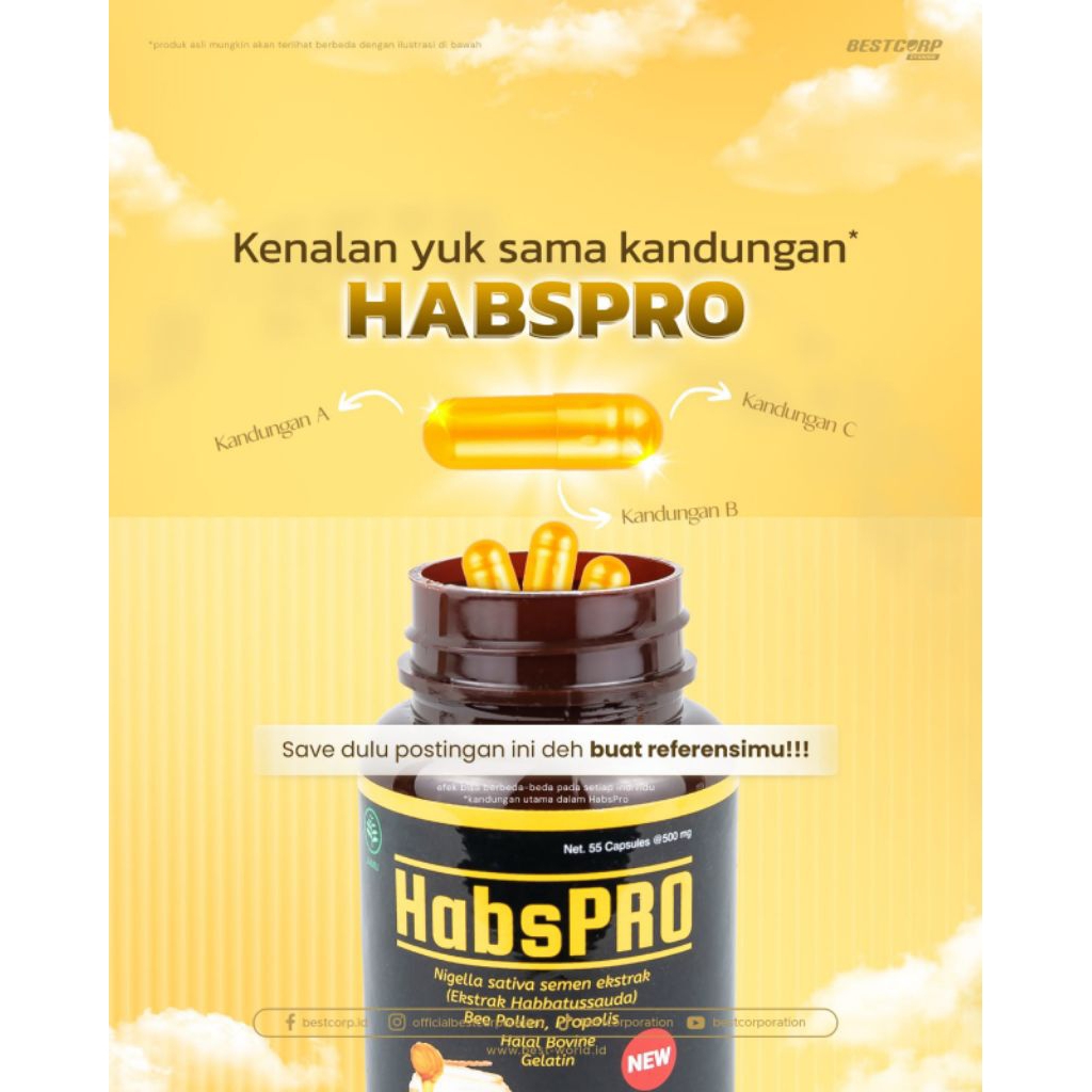 Habspro Habbatussauda Kapsul Original Asli