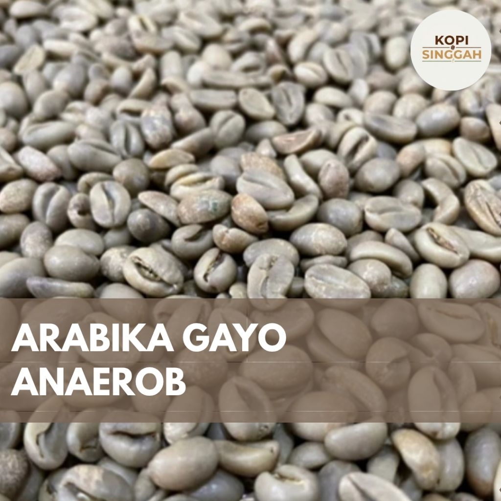 GreenBean Arabika Gayo Anaerob Proses