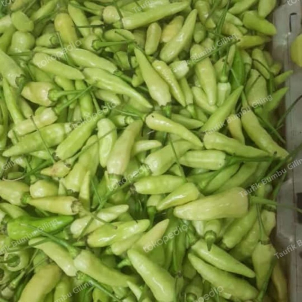 cabe hijau kecil/cabe gorengan