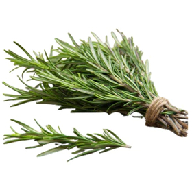 DAUN ROSEMARY FRESH 100 GRAM
