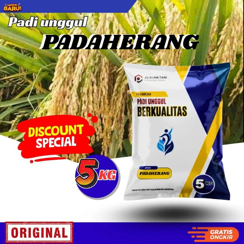 padi Padaherang 5kg