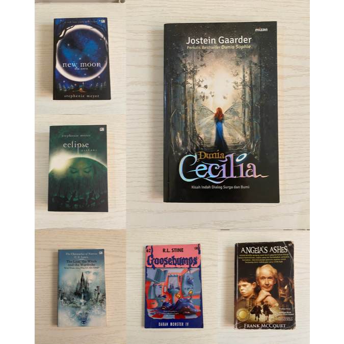 Novel Preloved Terjemahan Dunia Cecilia Jostein Gaarder Narnia Goosebump Bahasa Indonesia