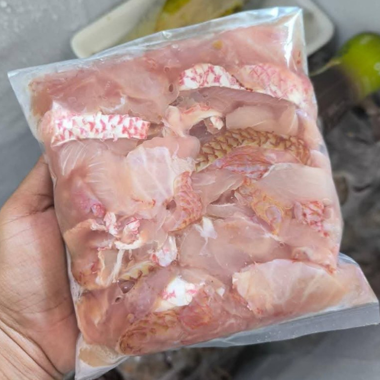 Tetelan Kakap Merah 1Kg Tetelan Ikan Kakap Merah Segar Kakap Merah Fillet Premium Fresh Frozen Seafo