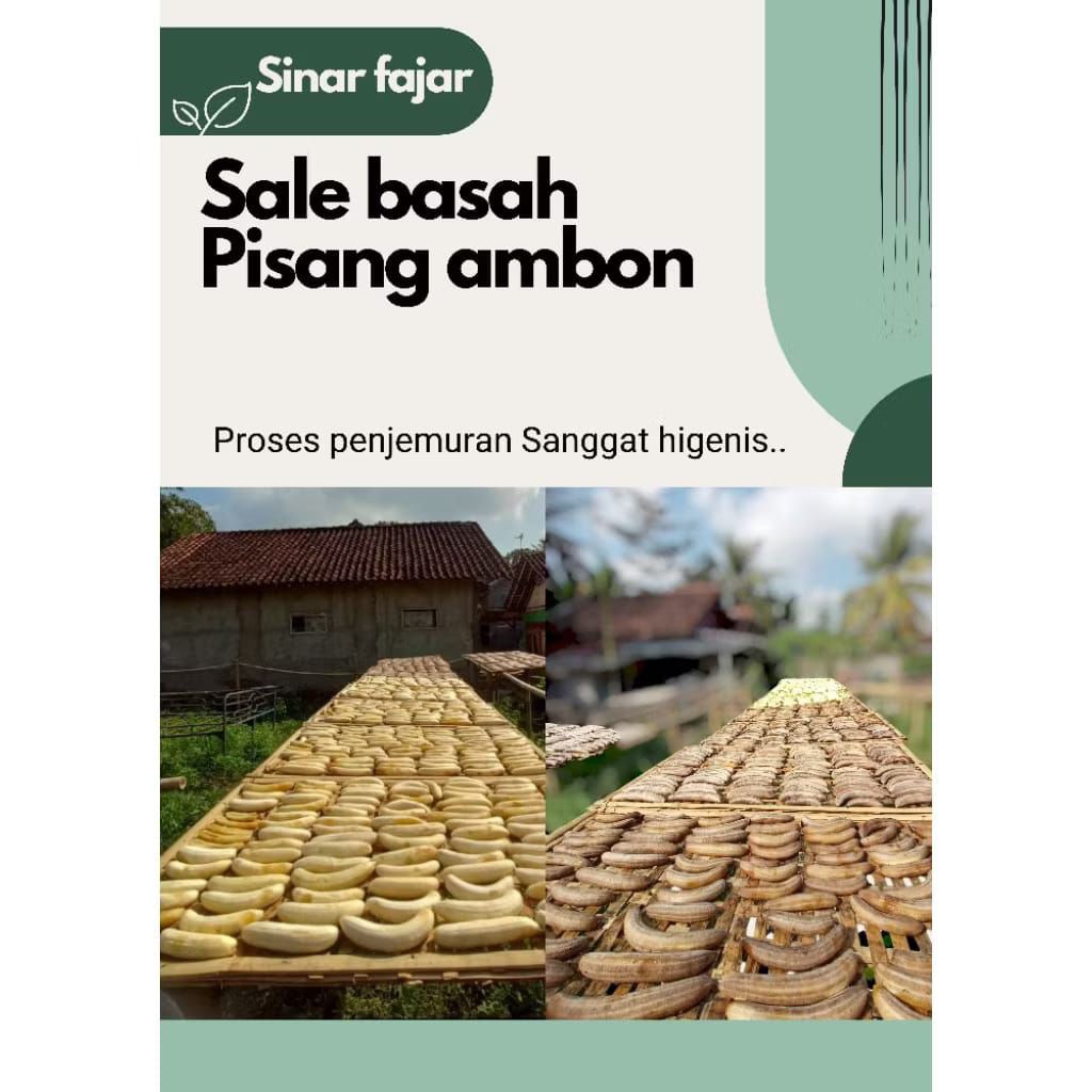 SALE BASAH PISANG AMBON 1Kg • 2 Pcs @500gr • Original & Legit