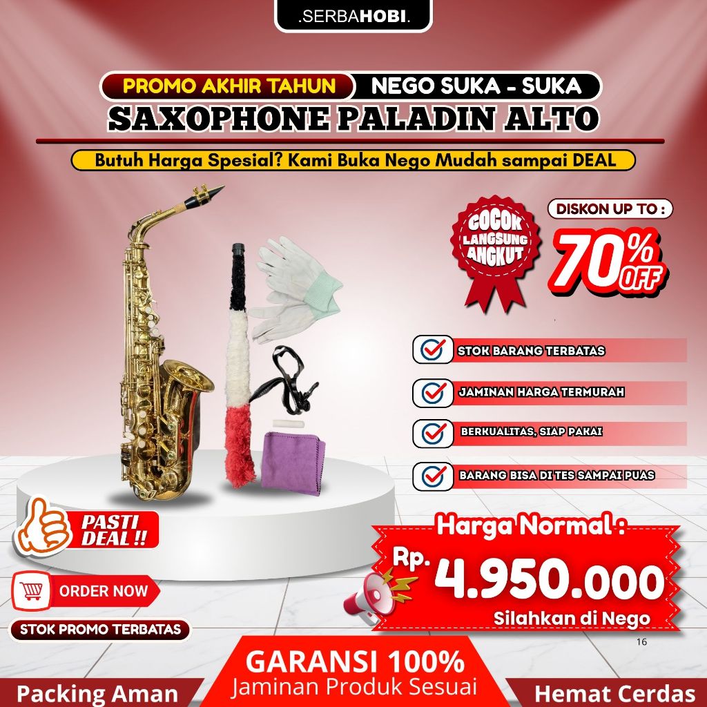 Saxophone Alto PALADIN WITH KOPER/CASE / Saxophone PALADIN