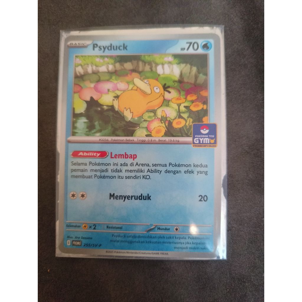 Pokemon TCG Indonesia Psyduck Gym Promo