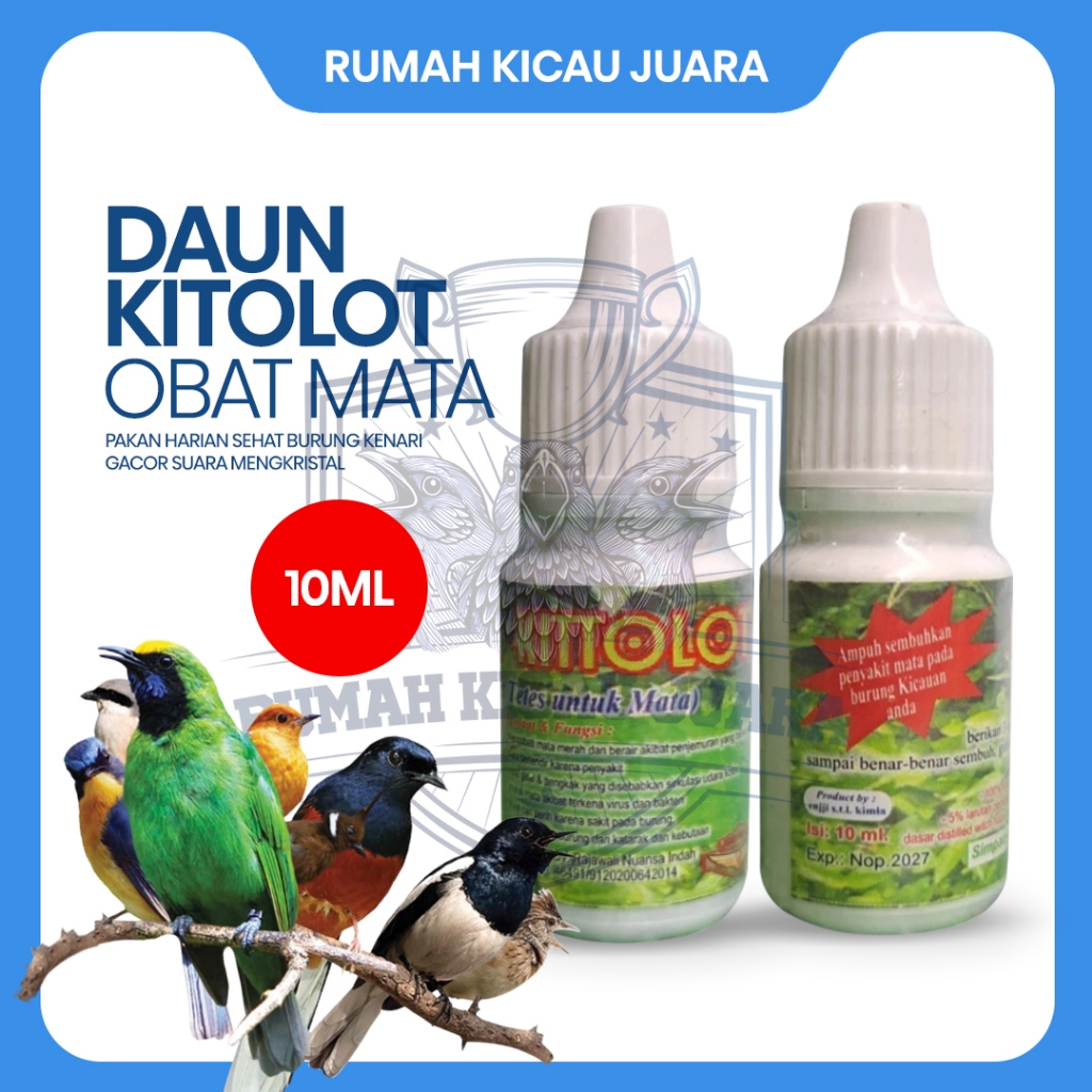 [TERMURAH] Daun Kitolot 10ml Obat Tetes Mata Burung Mengobati Mata Snot Berair Iritasi Katarak