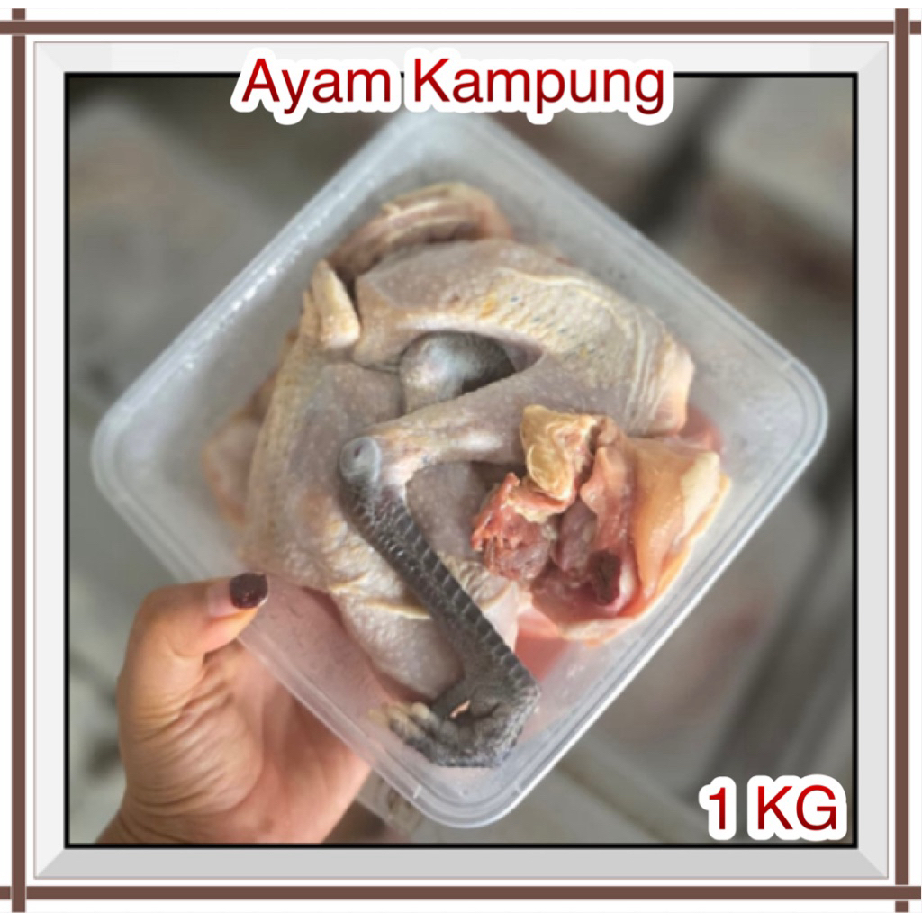 Ayam Kampung -+1 KG ( 1 Ekor )
