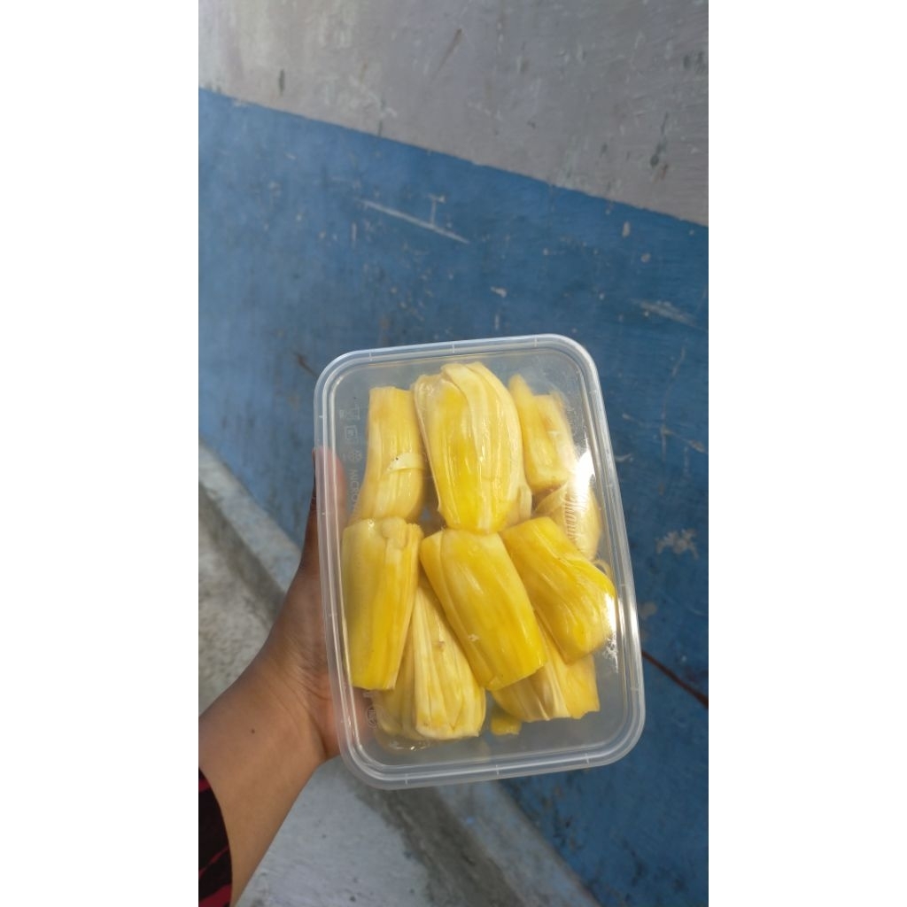 NANGKA KUPAS || MANIS LEGIT