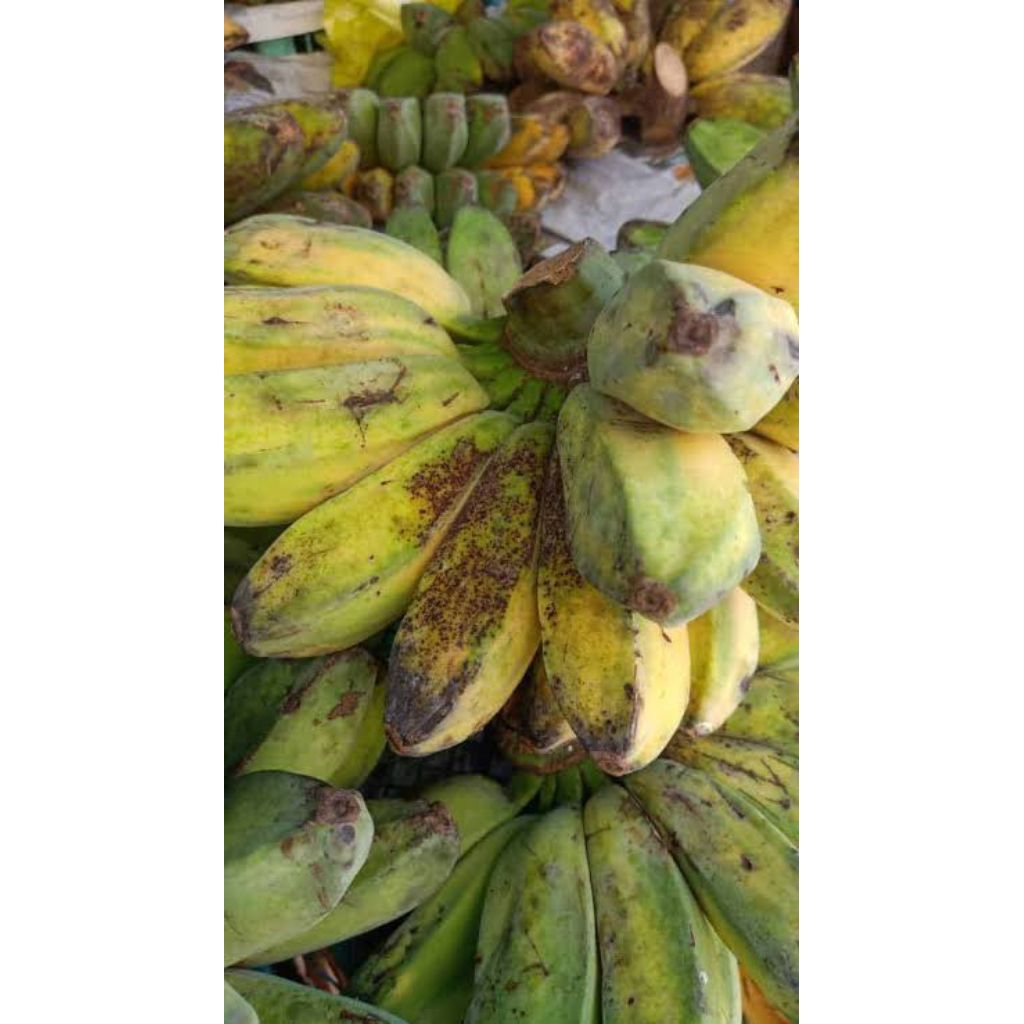 pisang kepok putih 1kg