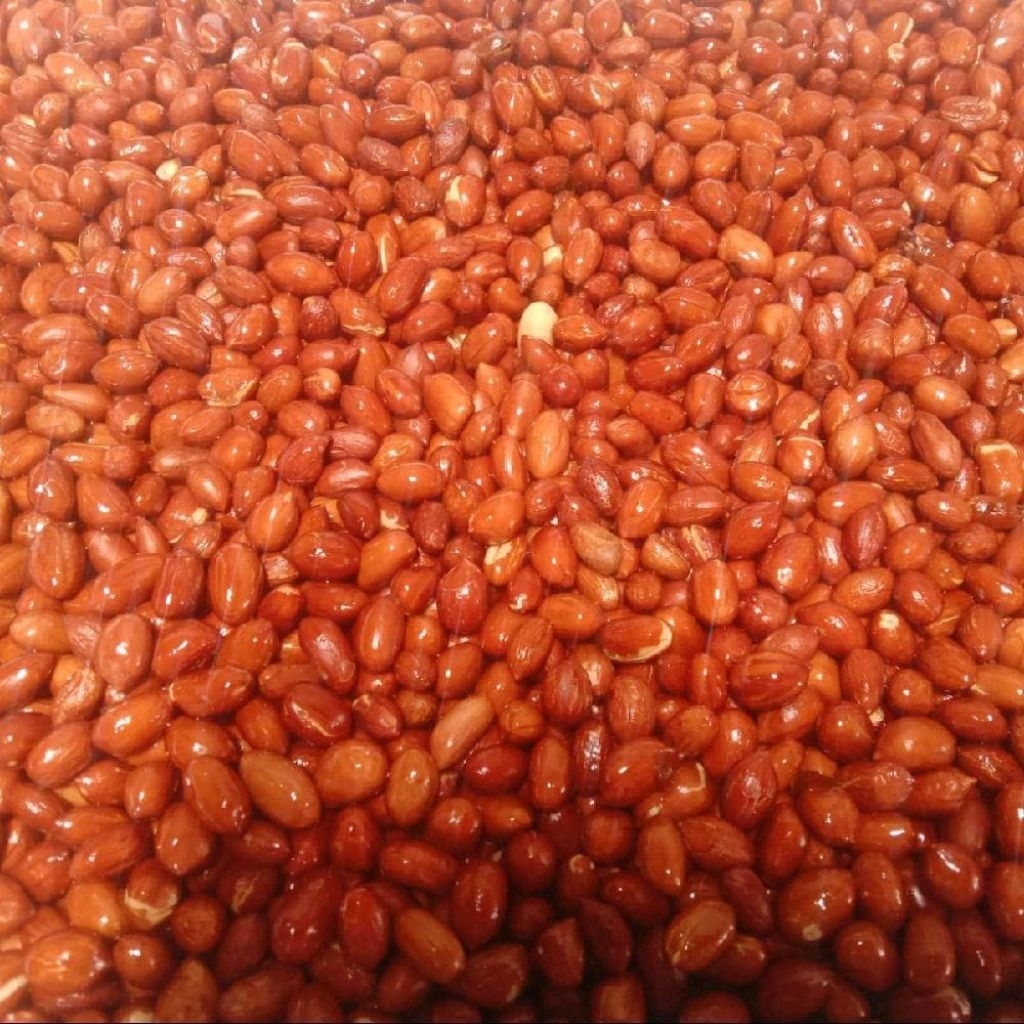 kacang goreng /kacang tanah goreng asin gurih renyah