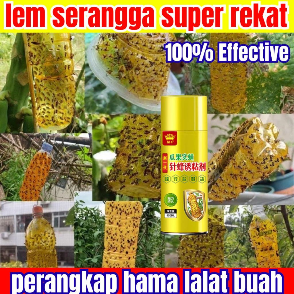 Lem lalat super lengket pengusir lalat racun lalat paling ampuh petrogenol perangkap lalat buah obat