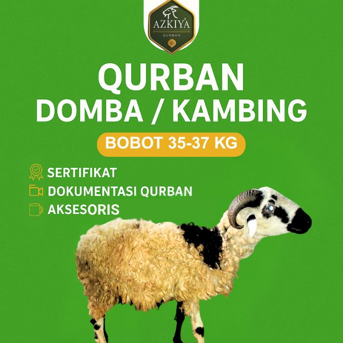 Qurban domba/kambing 35 - 37 kg - Pengiriman ke alamat tujuan (khusus wilayah Bogor)