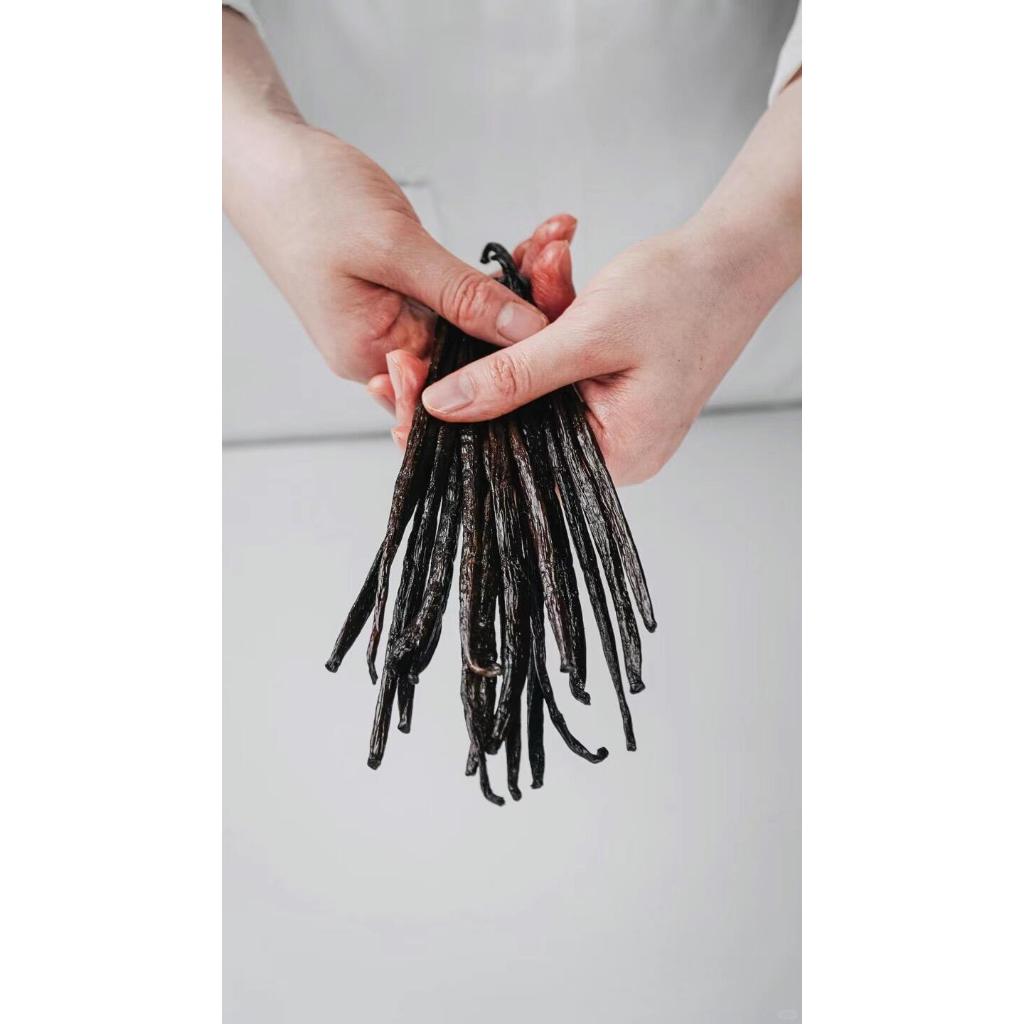 Vanilla Bean Planifolia 100gr