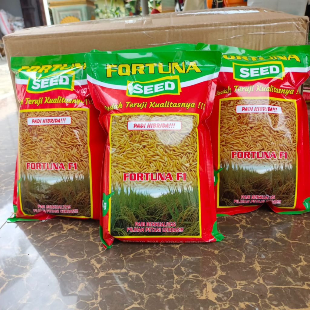 BENIH PADI HIBRIDA FORTUNA SEED F1 kemasan 1kg original