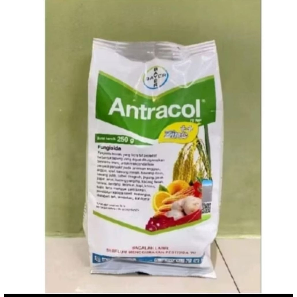 Antracol 250 gram