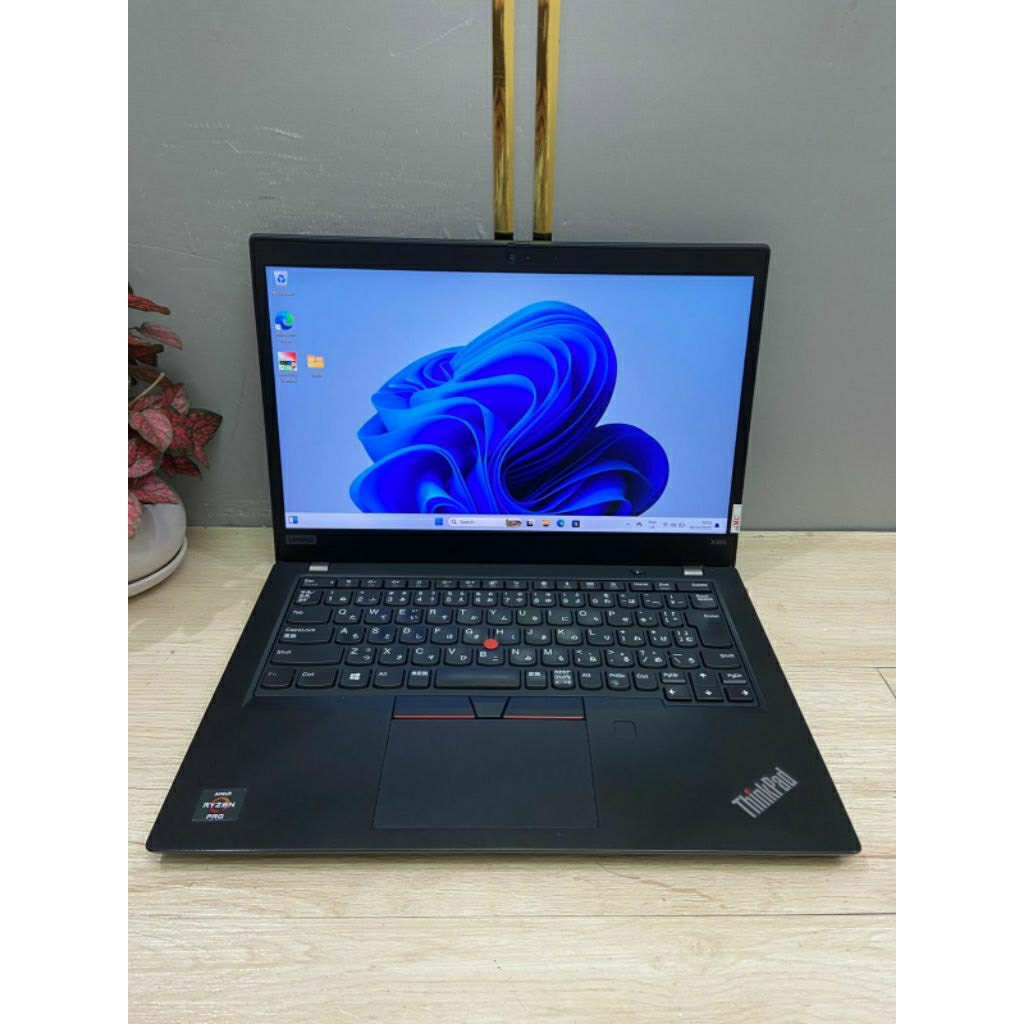 Lenovo thinkpad x395 touchscreen