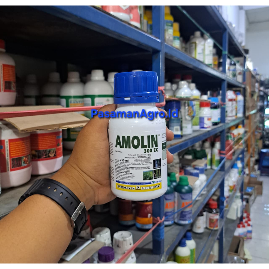 FUNGISIDA AMOLIN 300 EC - 250 ML
