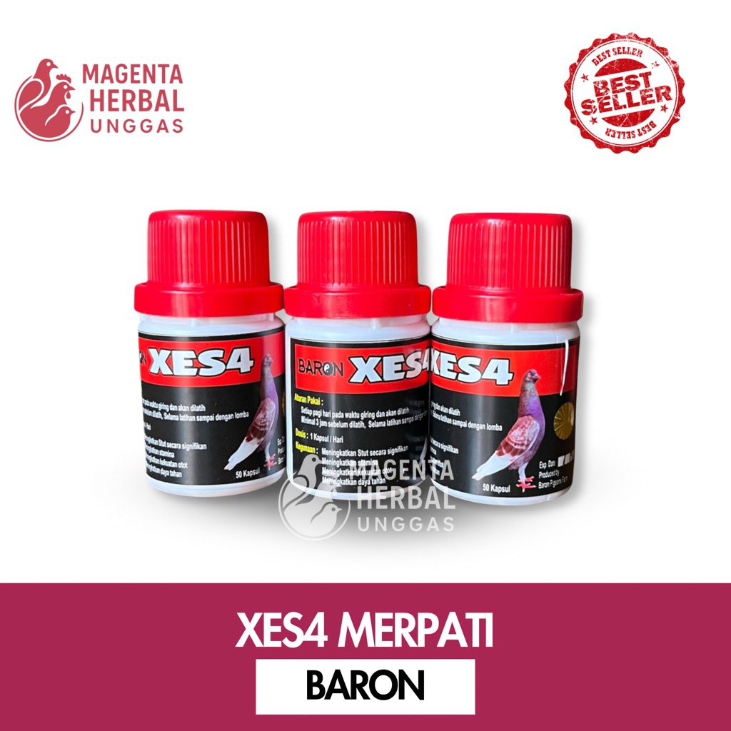 XES4 MERPATI BARON ISI 50 KAPSUL