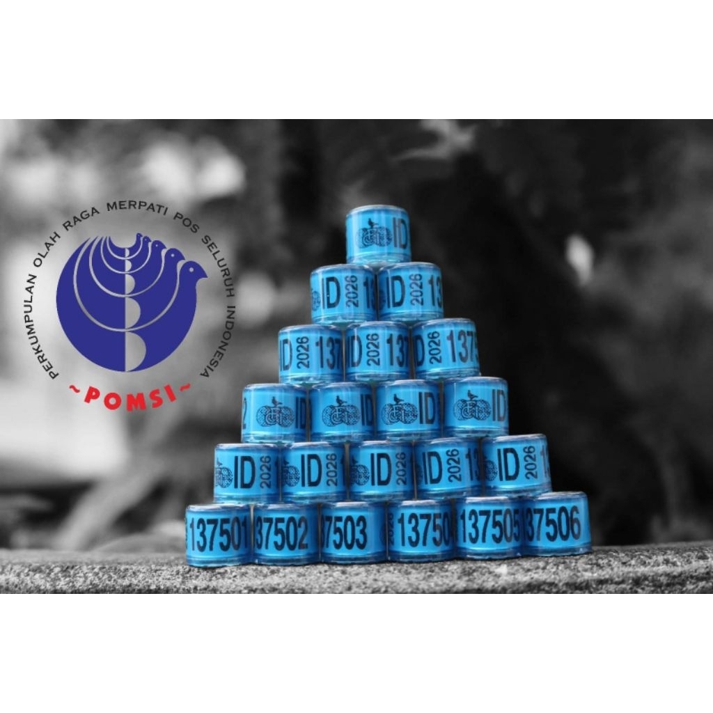 Ring Merpati pos ID 2026