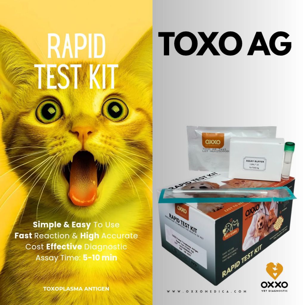 Test Kit Toxoplasma Ag/Toxoplasma Antigen / Rapid Test kucing