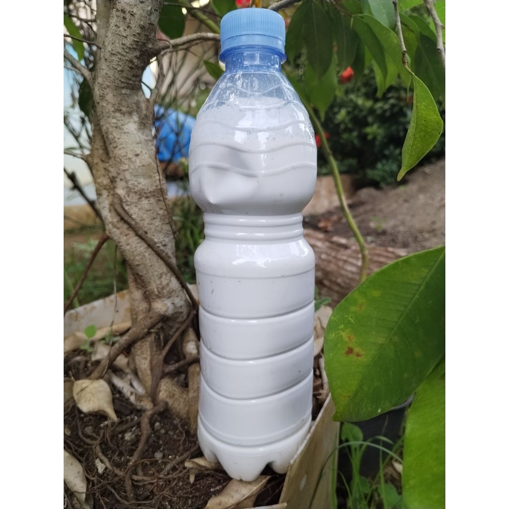 Getah Karet Cair Murni isi 600mil (COD)