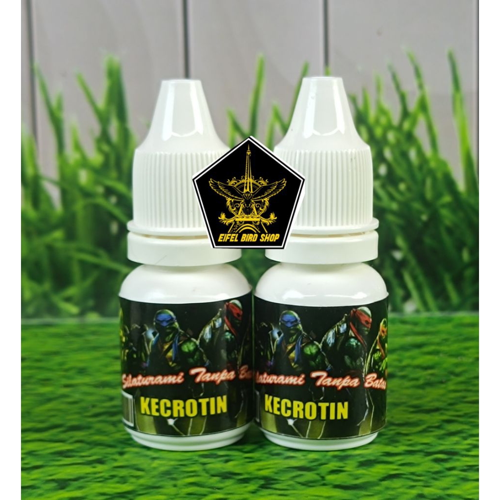 KECROTIN GURAH BURUNG menghilangkan lendir gurah kecrotin