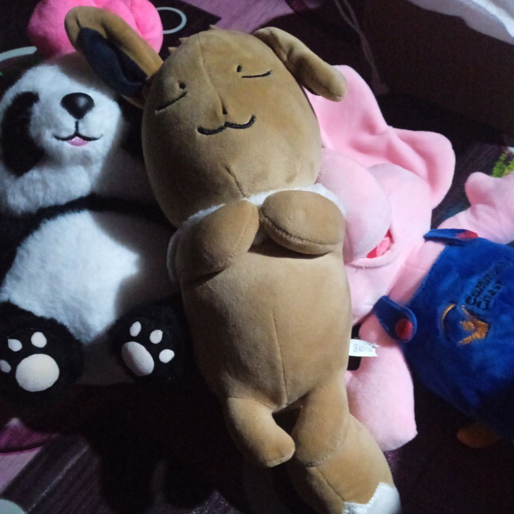 boneka pokemon pl