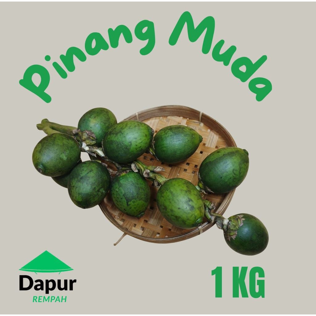 Pinang Muda Herbal Original – Pinang Muda Segar 1Kg – Buah Pinang Fresh Untuk Pria