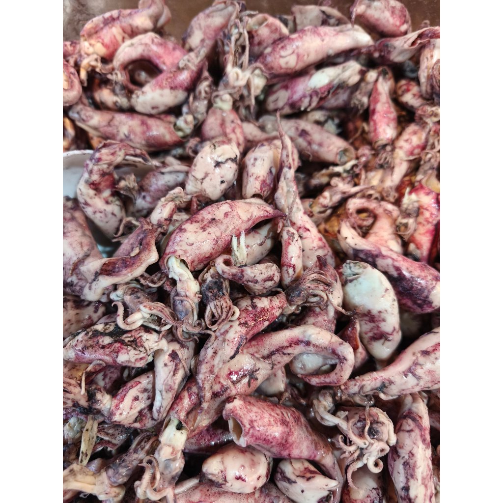 CUMI TELUR SUPER PREMIUM – Fresh, Tidak Amis, Kualitas Restoran