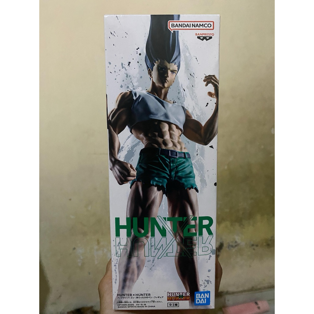 figure gon hunter x hunter