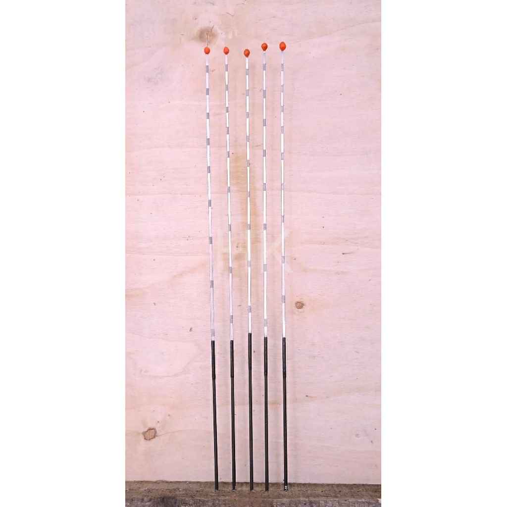 Entul Pancing Anti Karat