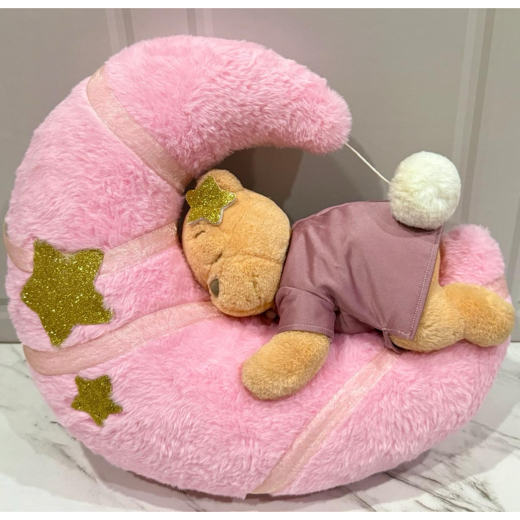 RARE | Boneka Plushie Pooh Bobo di Bulan Pink Tokyo Disneyland