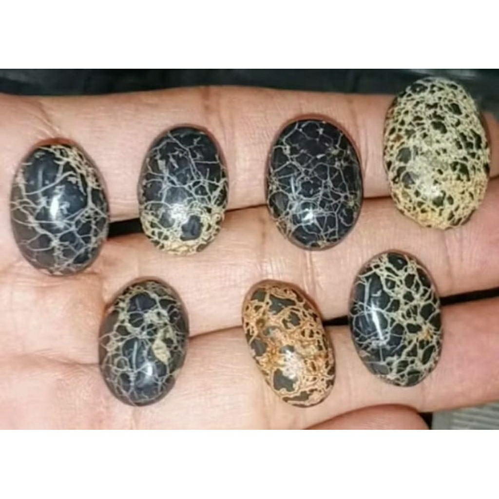 Bahan Batu Natural Pirus Hitam/kura kura asli Baluran